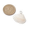 Natural Ark Shell Pendants PALLOY-JF02679-02-2