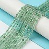 Natural Green Strawberry Quartz Beads Strands G-Z034-A02-01-2