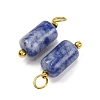Natural Sodalite Cloumn Pendants STAS-H221-04G-06-2