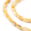 Natural Freshwater Shell Dyed Beads Strands SHEL-M018-13-09-3
