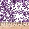 12/0 Grade A Round Glass Seed Beads SEED-Q009-FJX33-4