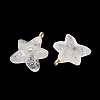 Natural Quartz Crystal Pendants X-G-H353-01G-02-2