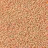 TOHO 11/0 Round Beads X-SEED-TR11-0301-2