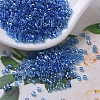 MIYUKI Delica Beads Small X-SEED-J020-DBS0177-1