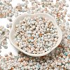 Baking Paint Glass Seed Beads SEED-F006-01A-12-2