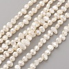 Natural Cultured Freshwater Pearl Beads Strands PEAR-G007-04B-1