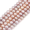 Natural Cultured Freshwater Pearl Beads Strands PEAR-I007-07X-03E-2