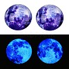 Fluorescent Glass Cabochons GGLA-T004-12F-5