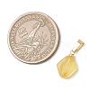 Natural Amber Pendants PALLOY-JF05157-2