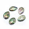 Natural Paua Shell Beads SSHEL-E564-52A-1