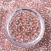 Glass Seed Beads SEED-S042-04A-04-2
