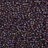 TOHO Round Seed Beads SEED-JPTR08-0166BF-2