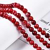 Dyed Natural Crackle Agate Beads Strands G-T100-03C-6