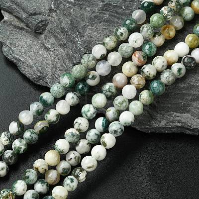 Natural Tree Agate Beads Strands G-K194-6mm-02-1