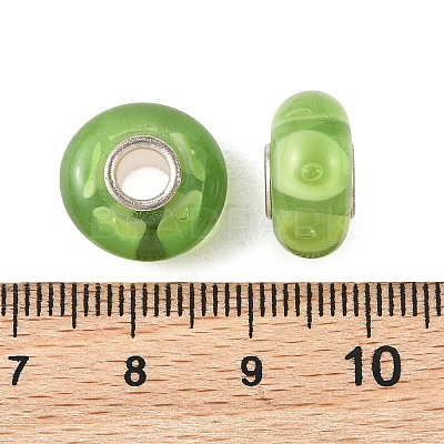 Lampwork & Brass Core European Beads LAMP-P019-01P-20-1