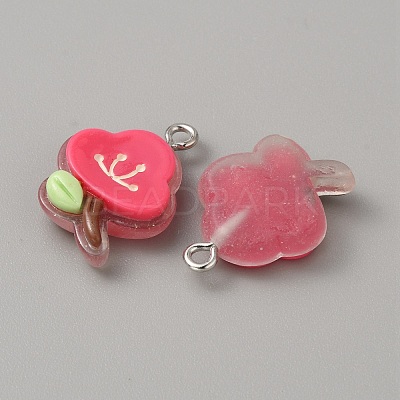 Translucent Resin Pendants RESI-TAC0019-08A-1