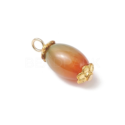 6Pcs Natural Peacock Agate(Dyed & Heated) Pendants PALLOY-JF04532-03-1