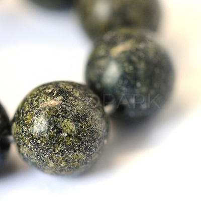 Natural Serpentine/Green Lace Stone Round Bead Strands G-E334-6mm-14-1