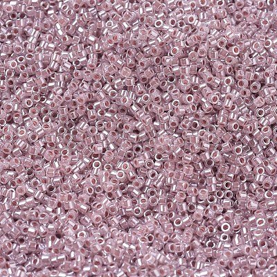 MIYUKI Delica Beads SEED-X0054-DB0256-1