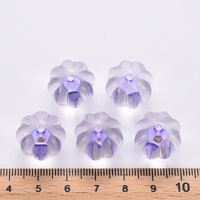 Transparent Acrylic Beads TACR-S154-19A-47-1