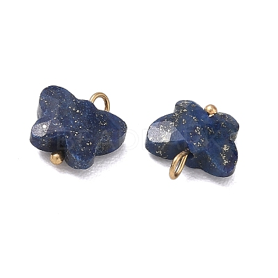 Dyed Natural Lapis Lazuli Pendants KK-D289-61G-06-1