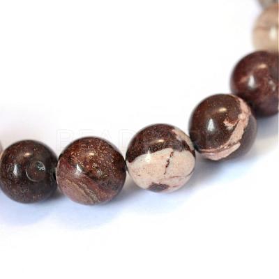 Natural Zebra Jasper Round Bead Strands G-E334-10mm-12-1
