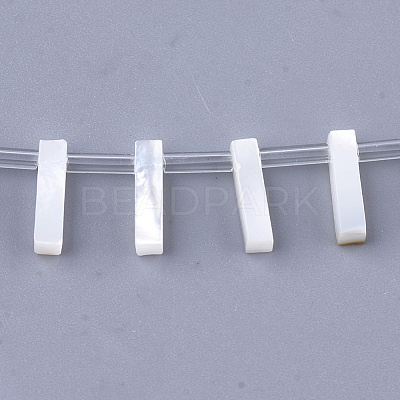 Natural Sea Shell Beads X-SHEL-T012-60I-1