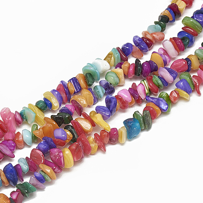 Freshwater Shell Beads Strands SHEL-S270-01-1
