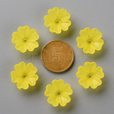 Transparent Frosted Acrylic Bead Caps MACR-S371-04A-717-1