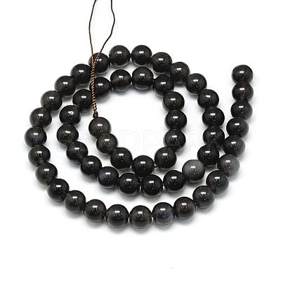 Natural Obsidian Beads Strands G-S150-15-6mm-1