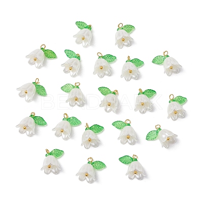 20Pcs Opaque Acrylic Pendants PALLOY-JF02870-1