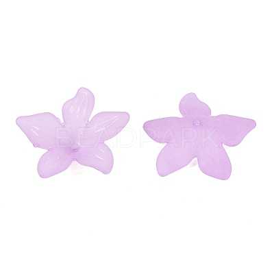 Translucent Acrylic Beads FACR-5335-6-1