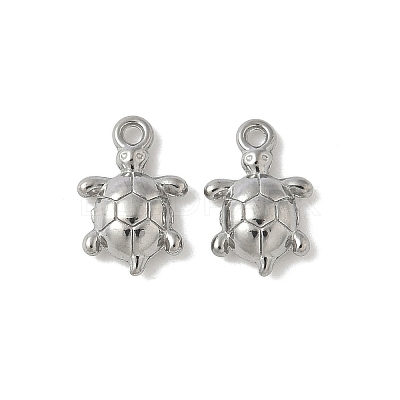 304 Stainless Steel Charms STAS-F320-01B-P-1