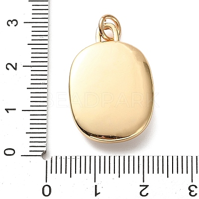 Golden Tone Brass Enamel Pendants KK-CBADFD5-03G-C-1