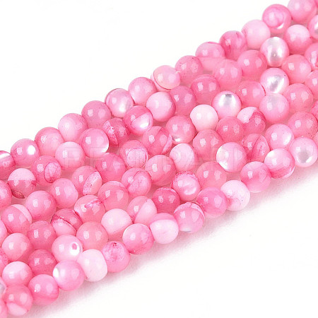 Dyed Natural Trochid Shell/Trochus Shell Beads Strands SSHEL-T017-13E-1