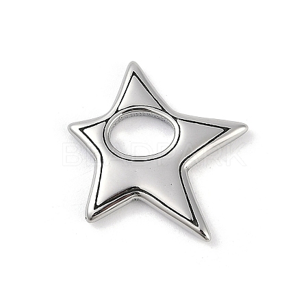 316 Surgical Stainless Steel Pendants LS-STAS-G349-17P-1
