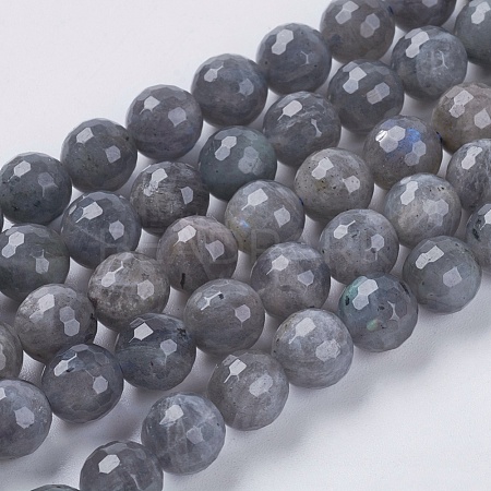 Natural Labradorite Beads Strands G-G213-8mm-03-1