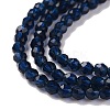 Transparent Glass Beads Strands GLAA-H021-04-28-5