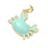 Brass Enamel Pendants KK-G555-20G-01-2