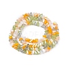 Electroplate Glass Beads Strands GLAA-T023-A17-02-2