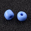 (Repacking Service Available) Glass Seed Beads SEED-C019-4mm-43B-2