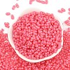 Baking Paint Glass Seed Beads SEED-L011-09A-16-2