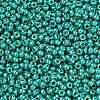 MIYUKI Round Rocailles Beads X-SEED-G007-RR5106-2
