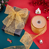 Transparent Single Face Chiffon Ribbon for Christmas OCOR-WH0071-008B-4