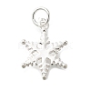 925 Sterling Silver Pendants STER-Q003-01B-S-1
