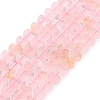 Natural Rose Quartz Beads Strands G-M403-A06-02-1