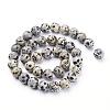 Natural Dalmatian Jasper Beads Strands GSR10mmC004-3