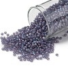 TOHO 11/0 Round Beads X-SEED-TR11-0166DF-1