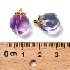 Glass Pendants GLAA-P072-05G-4