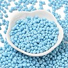 6/0 Opaque Baking Paint Glass Seed Beads X1-SEED-M012-02A-13-2
